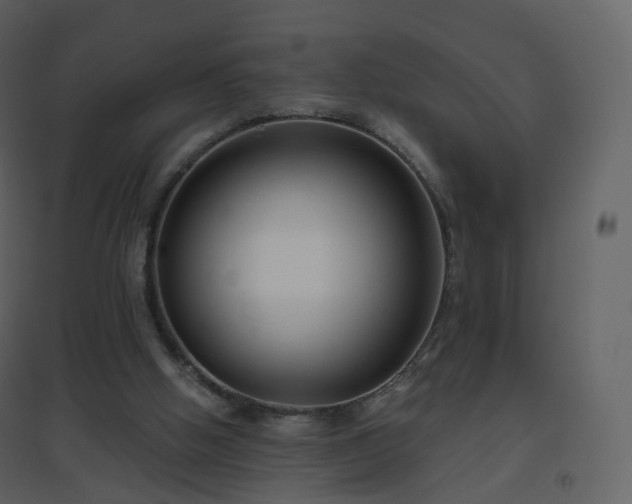 X0000096630058200802121056