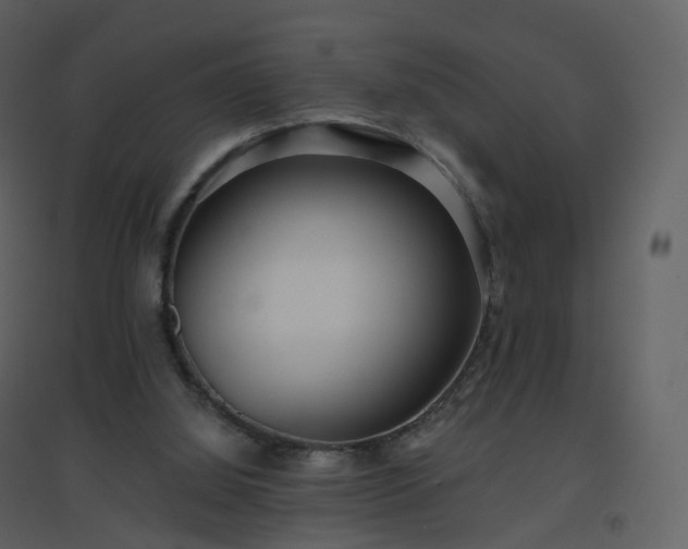 X0000096630060200802121056