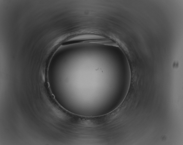 X0000096630062200802121056