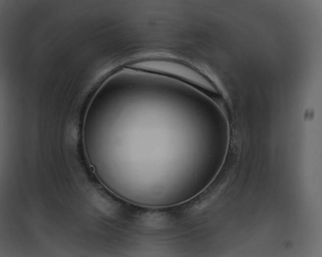 X0000096630063200802121056