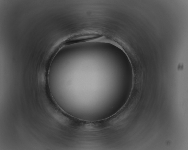 X0000096630064200802121056