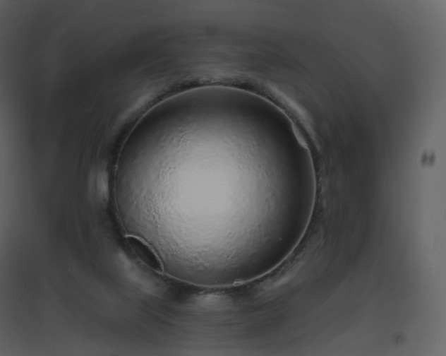 X0000096630067200802121056