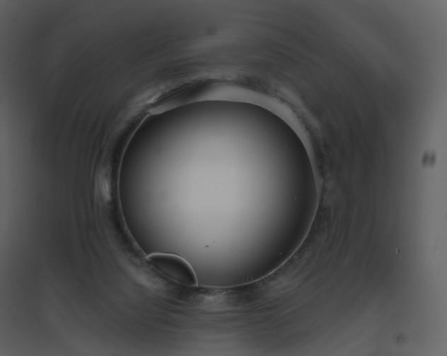 X0000096630068200802121056