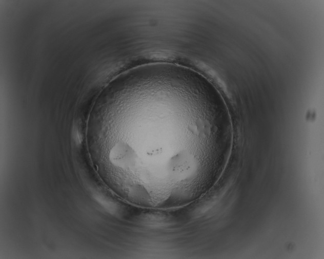 X0000096630069200802121056