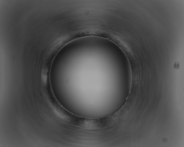 X0000096630070200802121056