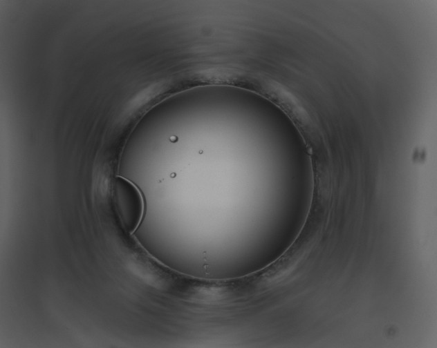 X0000096630071200802121056