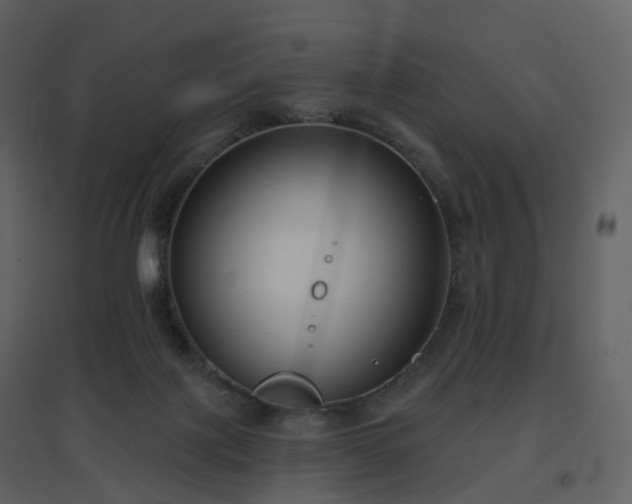 X0000096630075200802121056