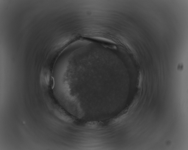 X0000096630076200802121057