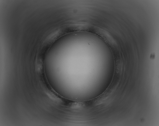 X0000096630077200802121057