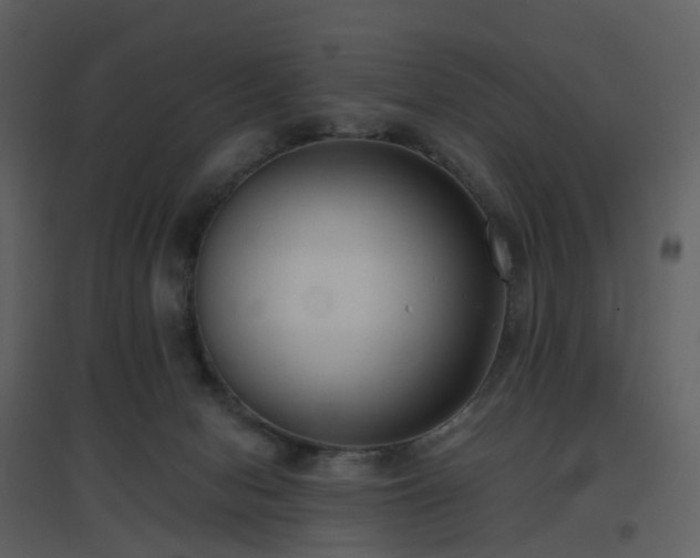 X0000096630078200802121057