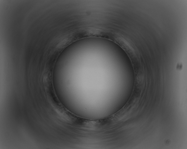 X0000096630079200802121057