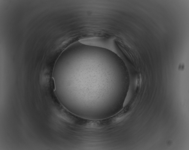 X0000096630080200802121057