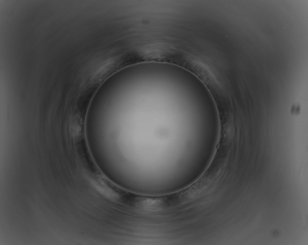 X0000096630081200802121057