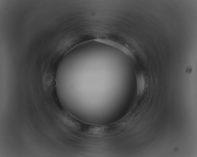 X0000096630084200802121057