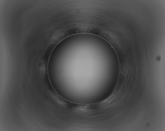 X0000096630086200802121057
