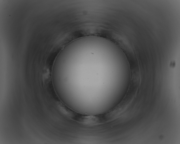 X0000096630087200802121057