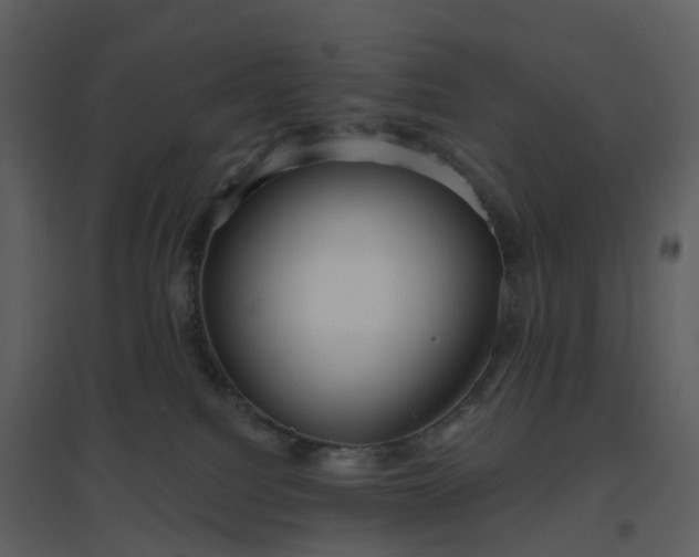 X0000096630088200802121057