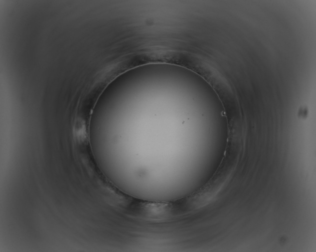 X0000096630089200802121057