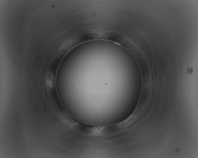 X0000096630090200802121057