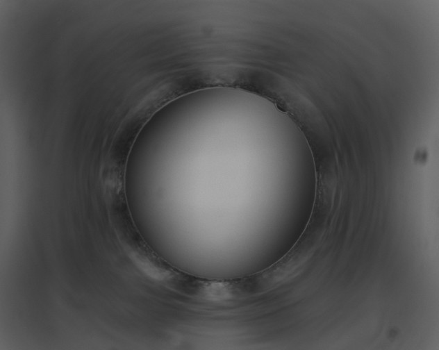 X0000096630091200802121057