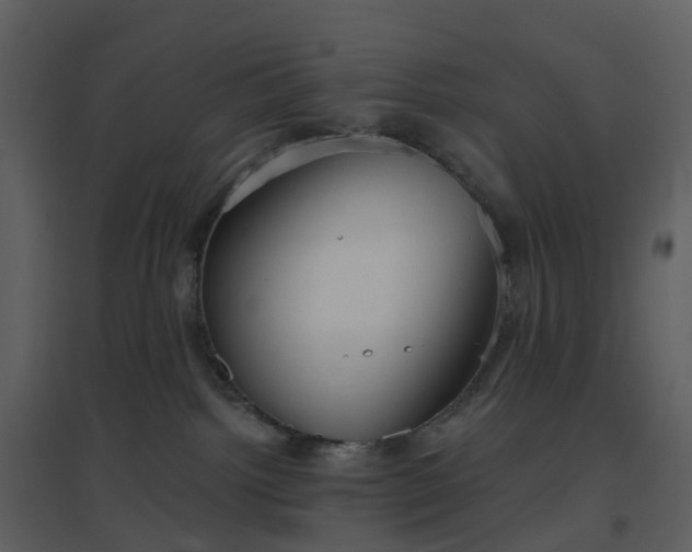 X0000096630092200802121057