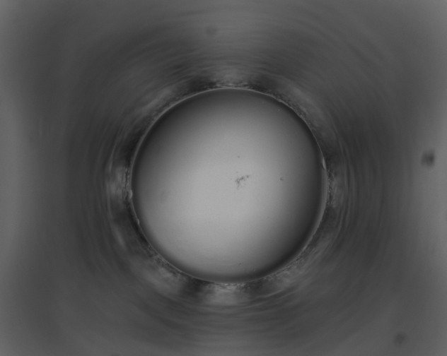 X0000096630093200802121057