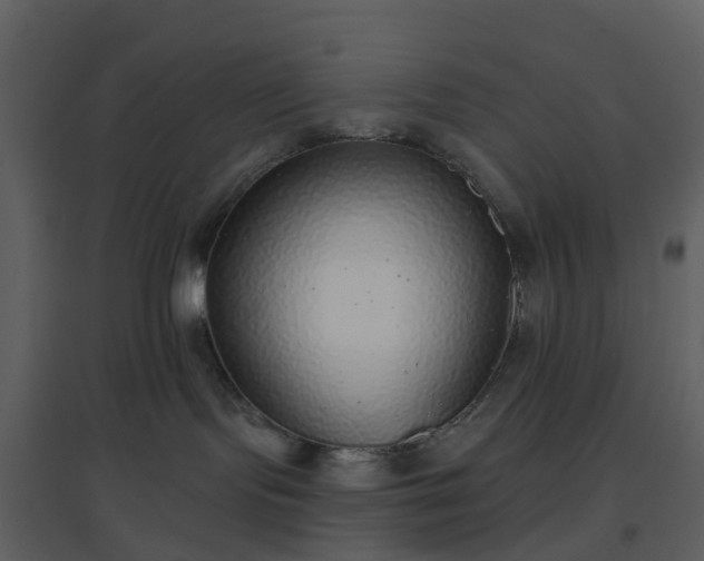 X0000096630095200802121057