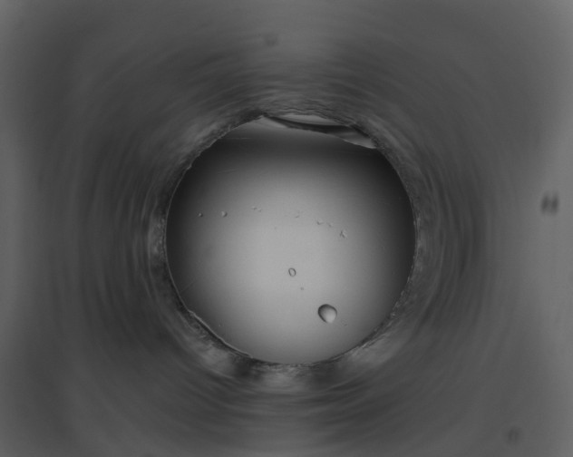 X0000096630096200802121057