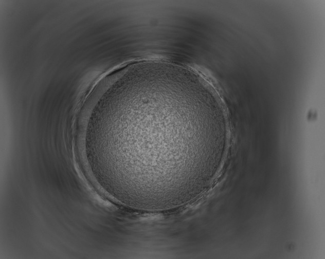 X0000096630097200802121056