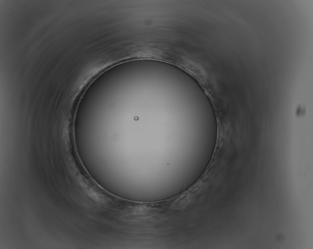 X0000096630098200802121056