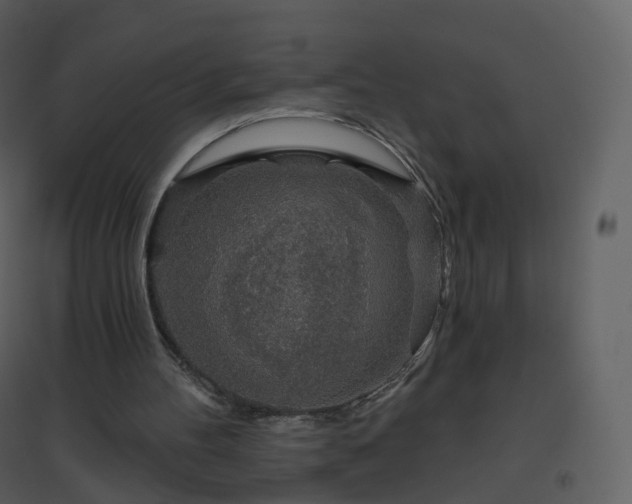 X0000096630100200802121056