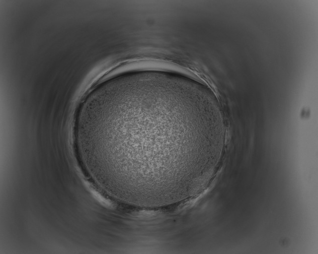 X0000096630101200802121056