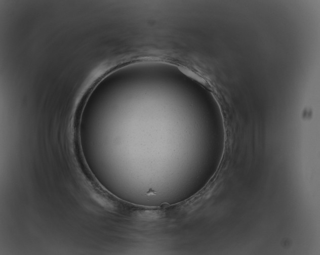 X0000096630102200802121056