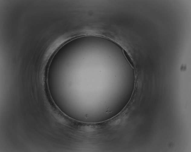 X0000096630103200802121056