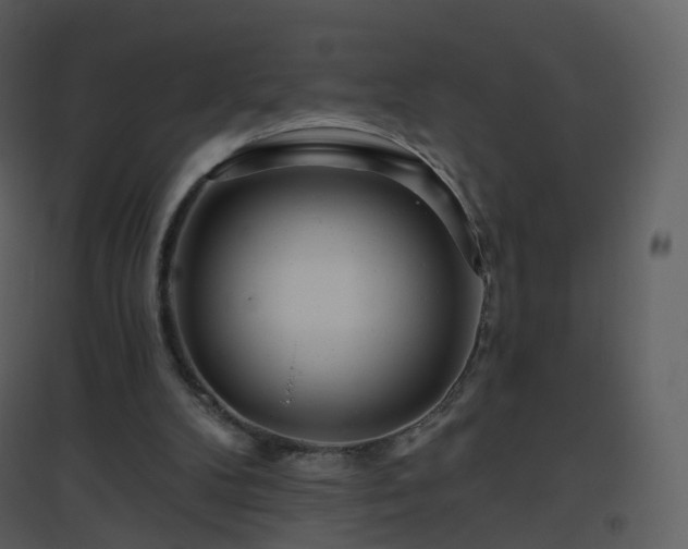 X0000096630104200802121056
