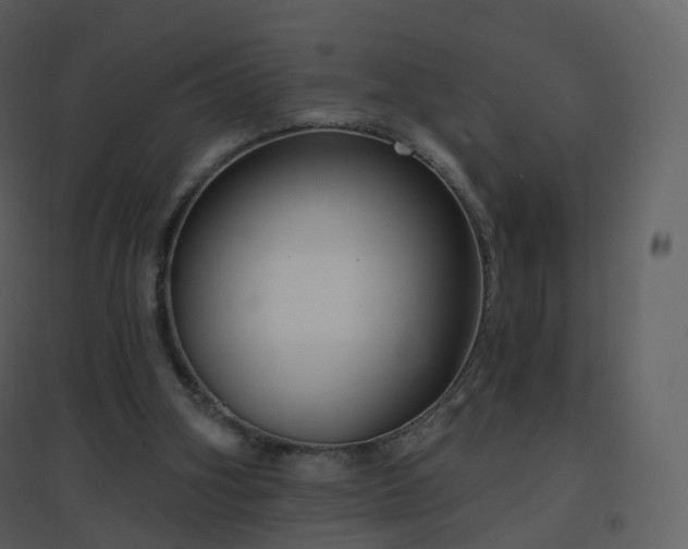 X0000096630106200802121056