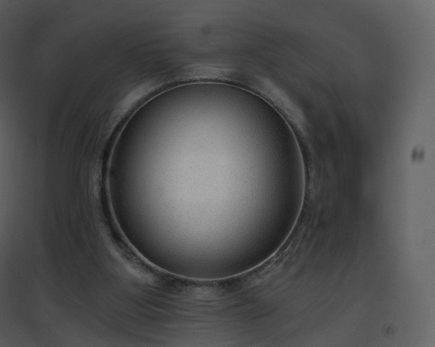 X0000096630107200802121056