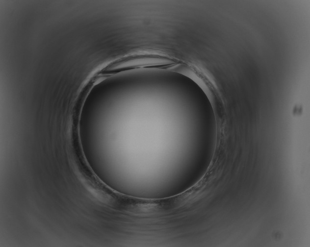 X0000096630108200802121056