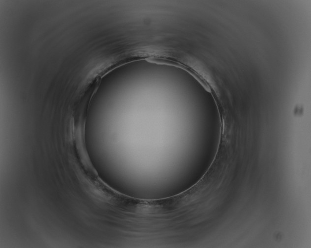 X0000096630109200802121056
