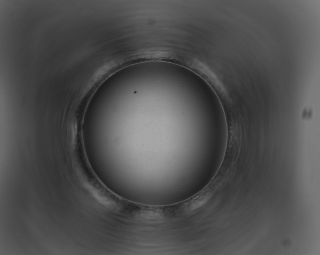 X0000096630110200802121056