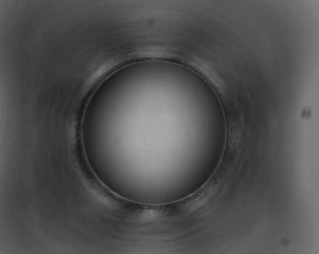 X0000096630111200802121056