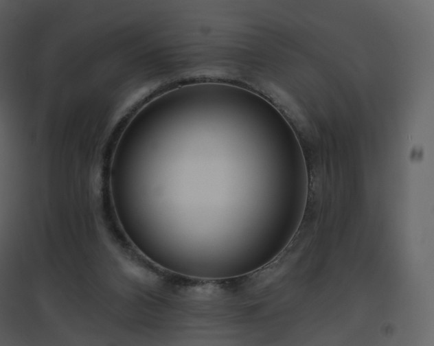 X0000096630112200802121056