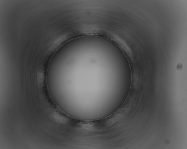 X0000096630113200802121056