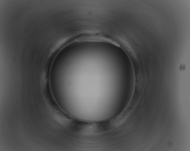 X0000096630116200802121056