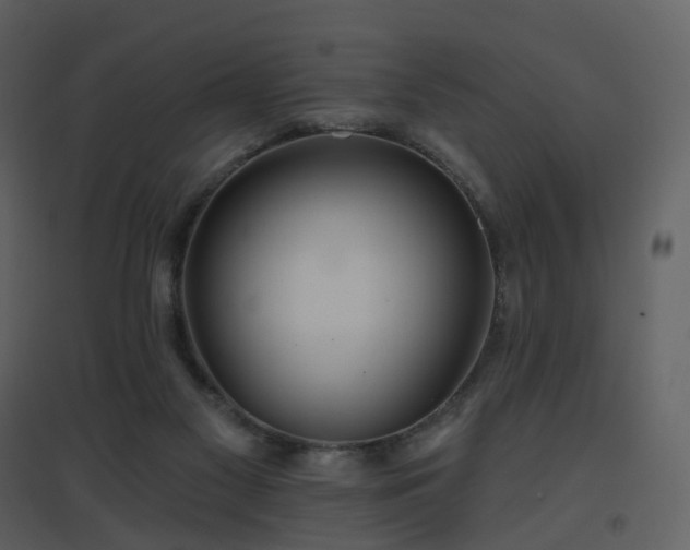X0000096630117200802121056