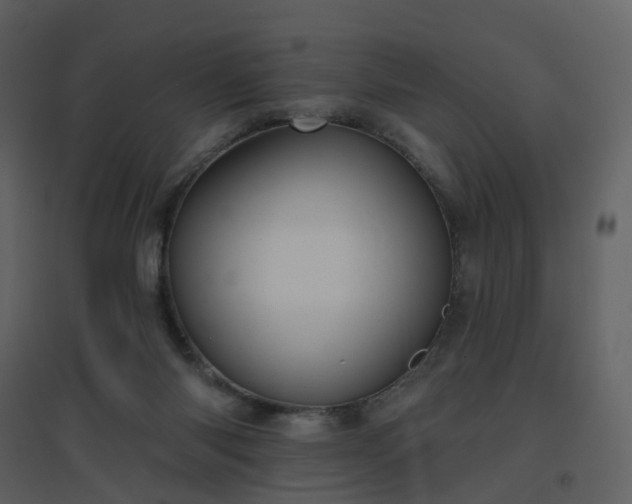 X0000096630118200802121056