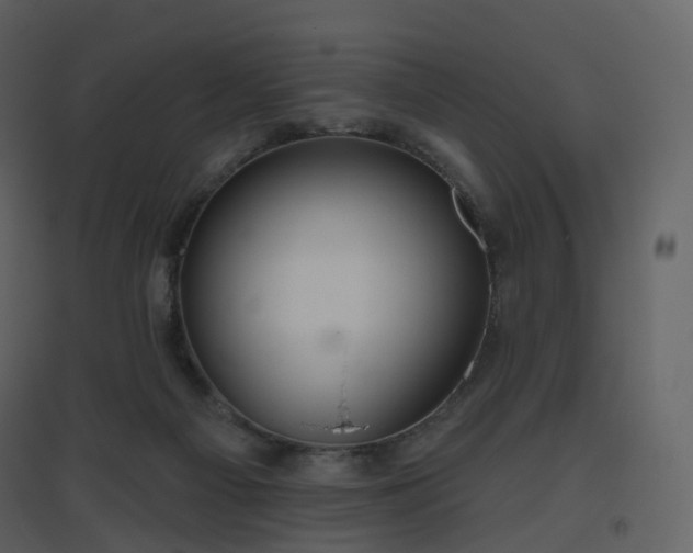 X0000096630121200802121056