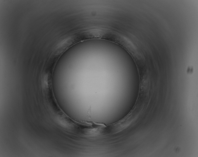 X0000096630122200802121056