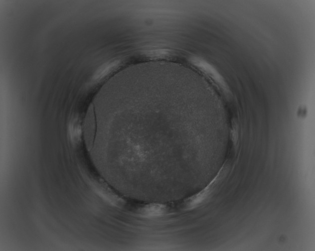 X0000096630124200802121056