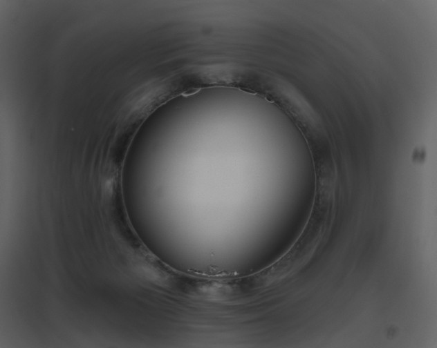 X0000096630125200802121056